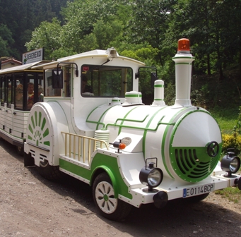 Guided tours Green Train of Arditurri