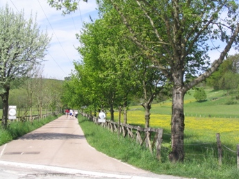 Via Verde en Oiartzun