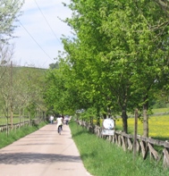 Green Way of Arditurri in Oiartzun